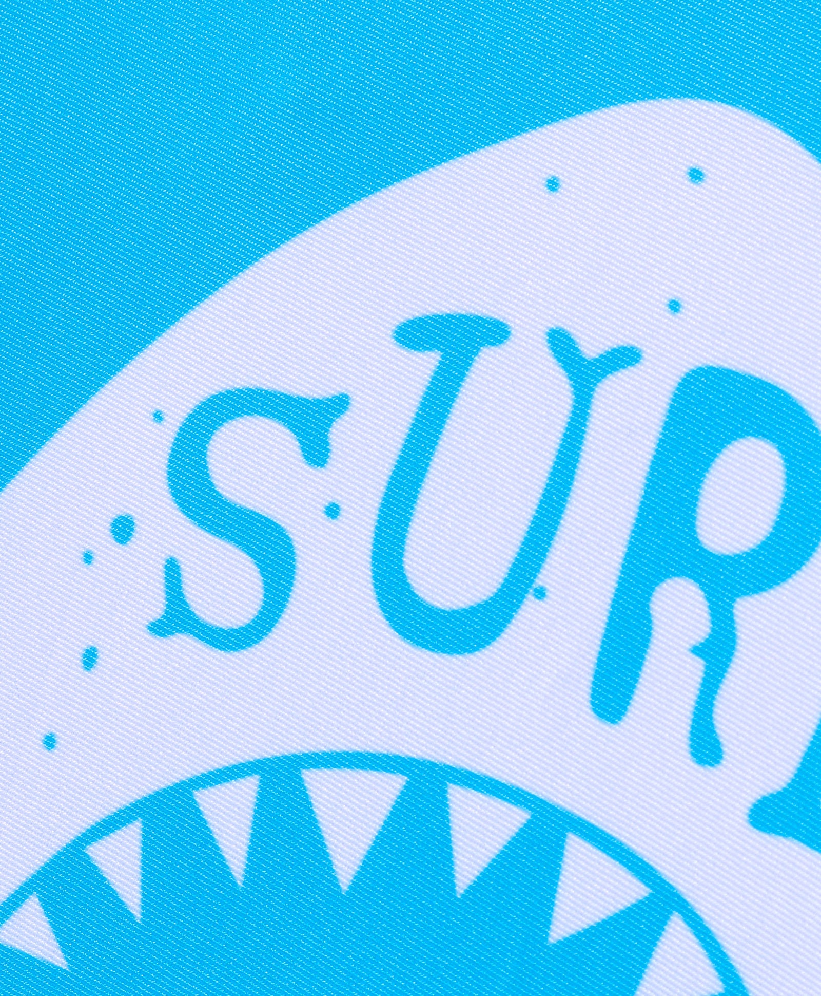 SHARK PRINT 2 PIECE SWIM SUIT - BLUE