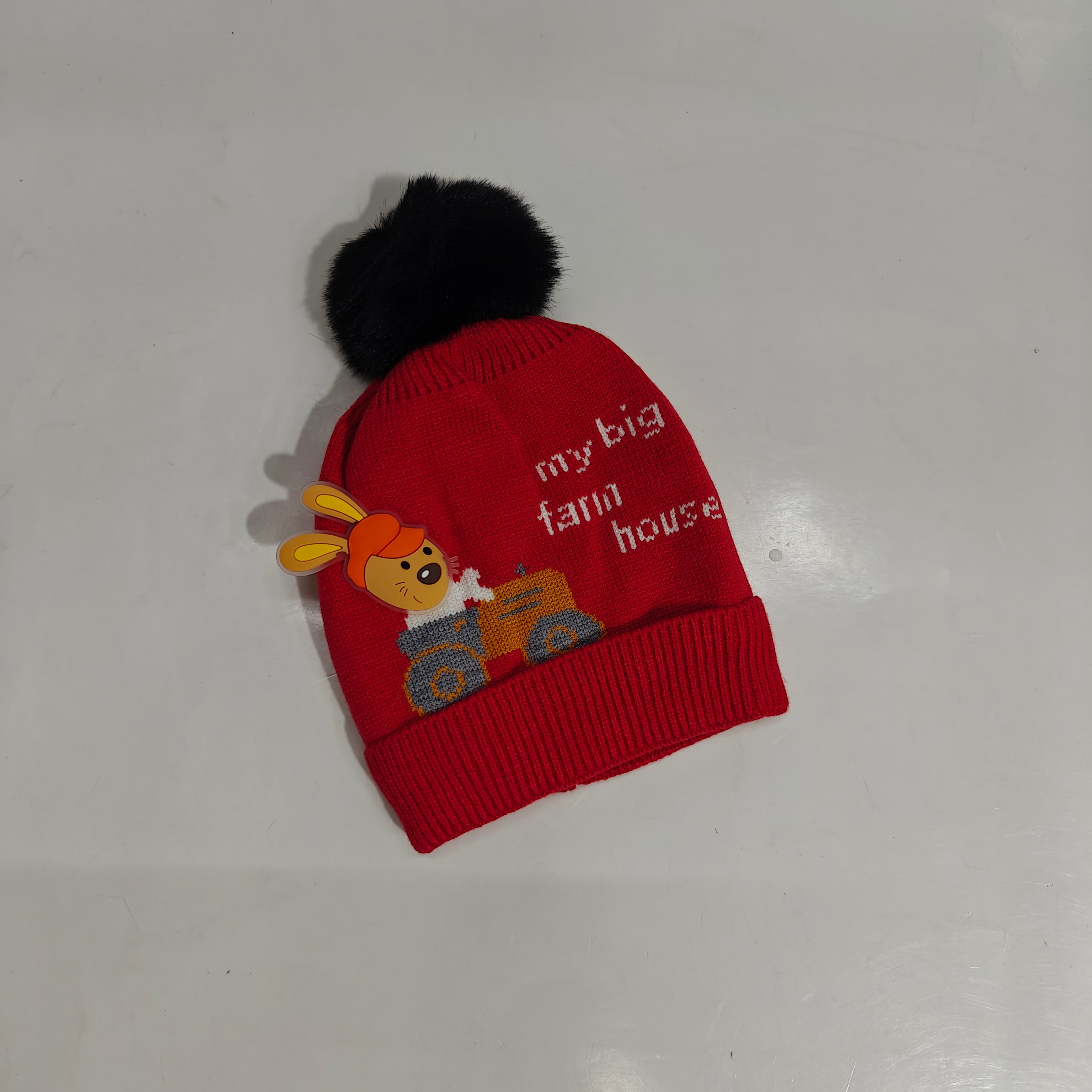 BEAR IN CAR WINTER CAP