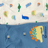 ASSORTED PACK OF 2 DINOSAUR PRINTED BOXERS - MULTICOLOR