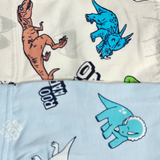 ASSORTED PACK OF 2 ANIMALS PRINTED BOXERS - MULTICOLOR