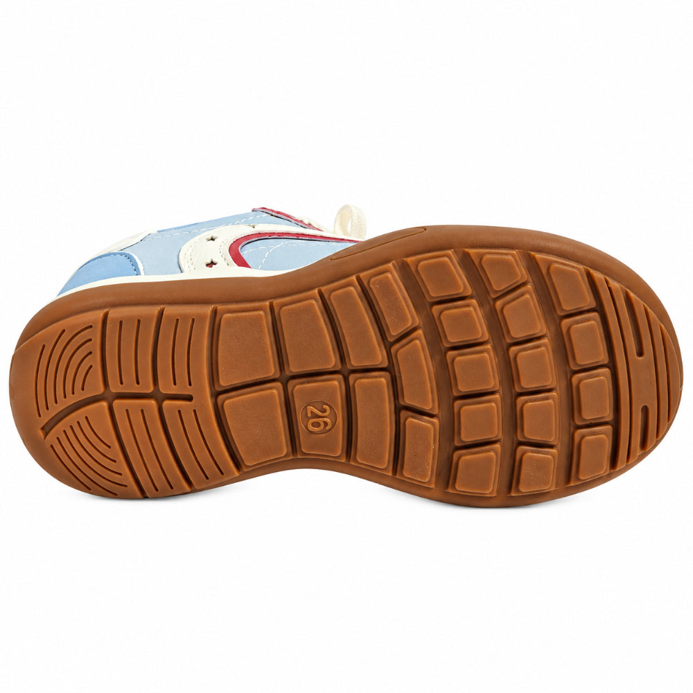Slide image