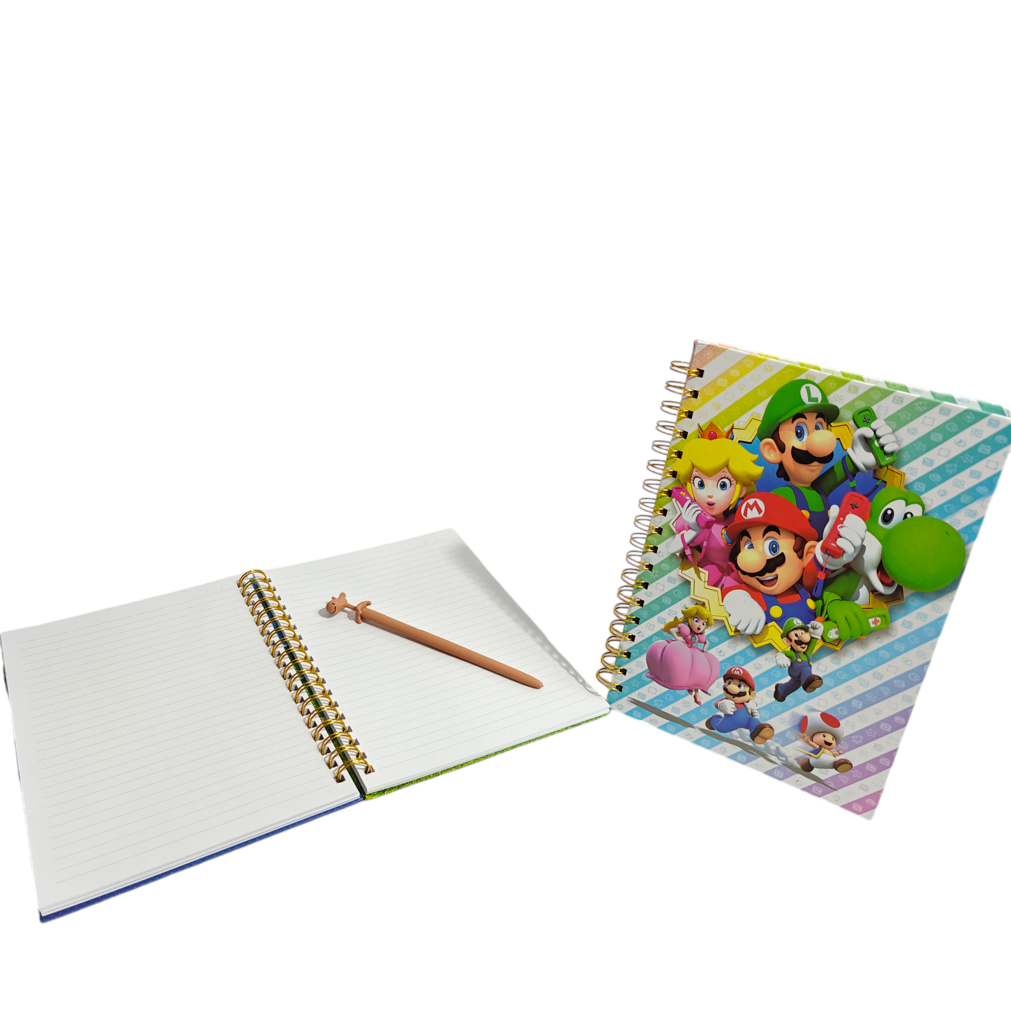 PARTY IN A BOX PRINTED DIARIES
