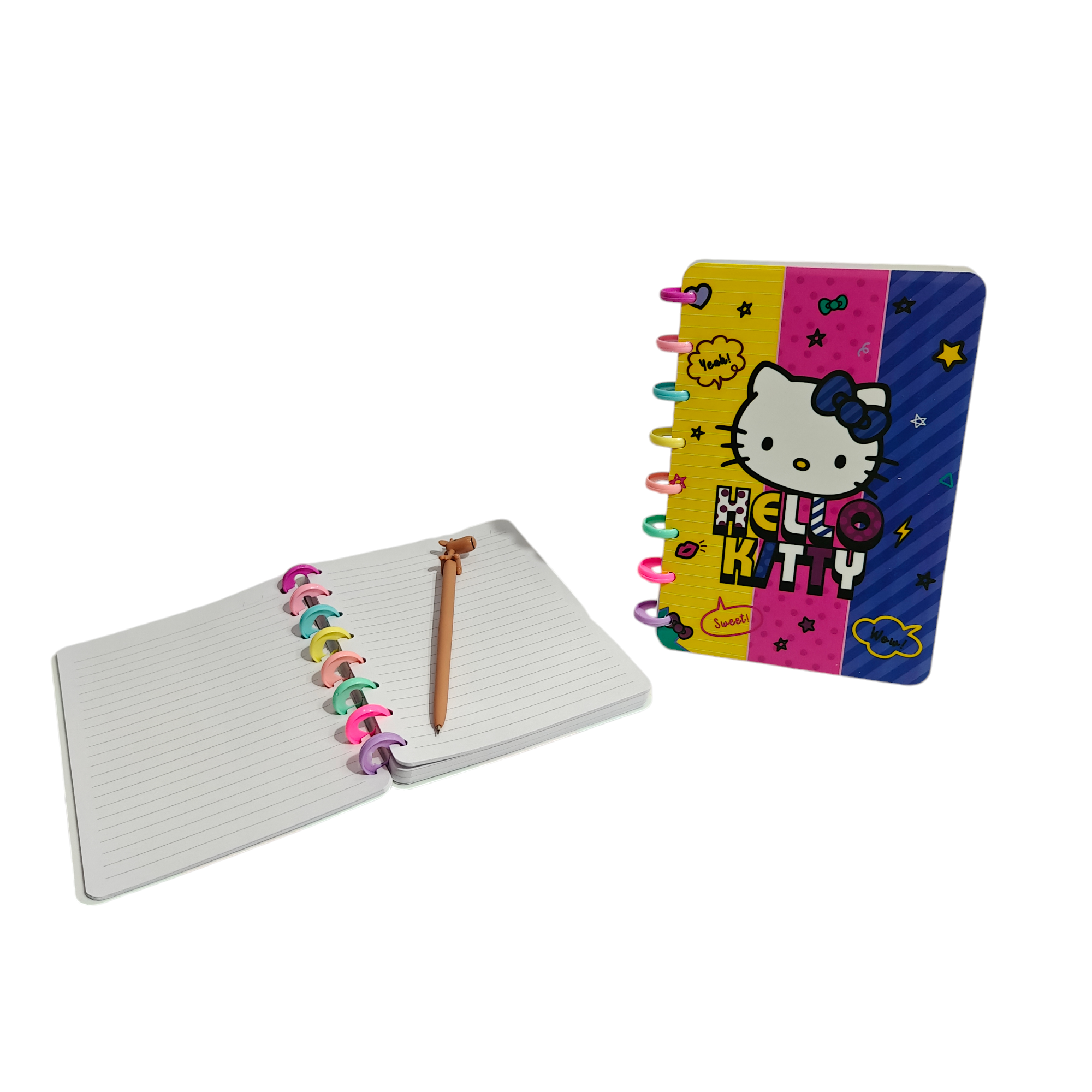 HELLO KITTY PRINTED DIARIES