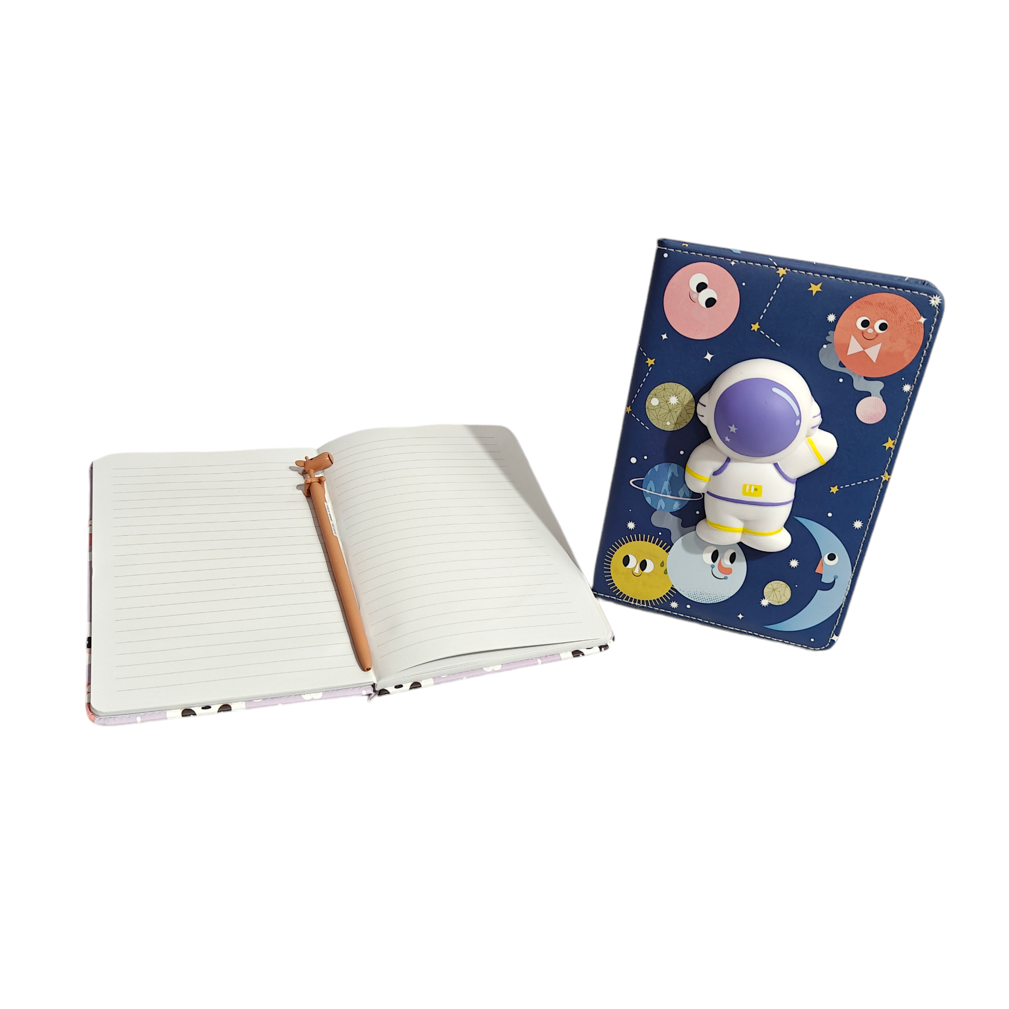 ASTRO 3D DIARIES